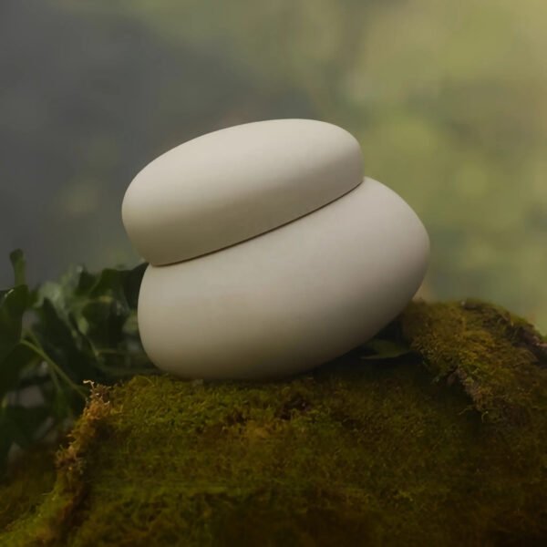 Hd8c46221ab2e44618a1242288c6e6c06W1