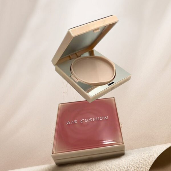 bb air cushion case 1